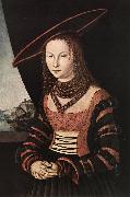 CRANACH, Lucas the Elder Portrait of a Woman dfg Spain oil painting reproduction